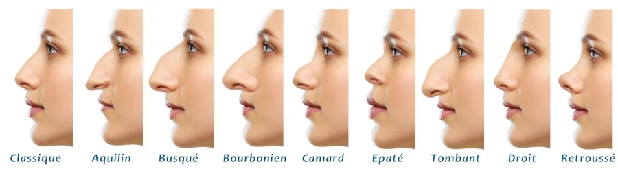 9 types de nez