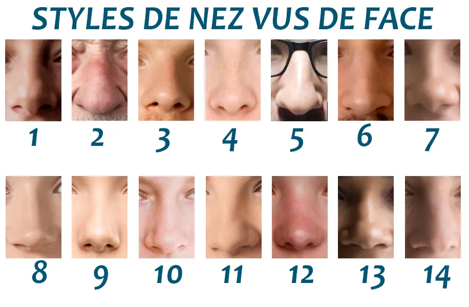 styles de nez vu de face