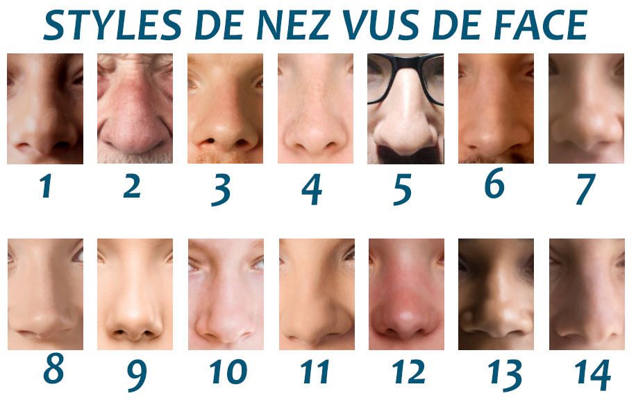 styles de nez vus de face