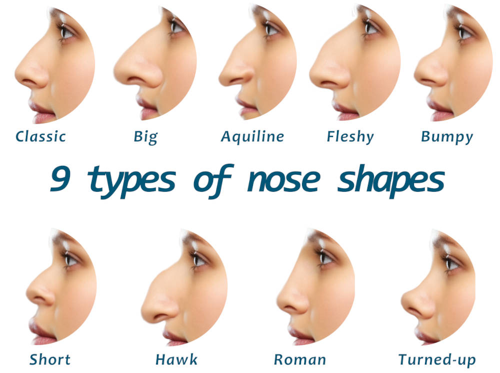 9 types and shapes of noses